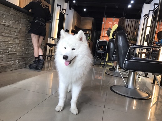 台南染髮,台南染髮推薦,染髮推薦台南,台南美髮,台南美髮店推薦,台南美髮推薦,美髮推薦台南,台南髮型設計,台南髮型設計師,髮型設計師台南,台南髮廊,台南髮廊推薦,髮廊推薦台南,台南髮廊評價,台南燙髮,台南燙髮推薦,燙髮推薦台南,台南燙髮價錢,推薦台南染髮,推薦台南美髮,推薦台南剪髮,推薦台南髮型設計師,推薦台南髮廊,推薦台南護髮,美髮店推薦台南,台南染髮推薦ptt,台南美髮推薦ptt,台南美髮店推薦ptt,台南髮廊推薦ptt,台南燙髮推薦ptt,台南護髮推薦ptt 台南染髮,台南染髮推薦,染髮推薦台南,台南美髮,台南美髮店推薦,台南美髮推薦,美髮推薦台南,台南髮型設計,台南髮型設計師,髮型設計師台南,台南髮廊,台南髮廊推薦,髮廊推薦台南,台南髮廊評價,台南燙髮,台南燙髮推薦,燙髮推薦台南,台南燙髮價錢,推薦台南染髮,推薦台南美髮,推薦台南剪髮,推薦台南髮型設計師,推薦台南髮廊,推薦台南護髮,美髮店推薦台南,台南染髮推薦ptt,台南美髮推薦ptt,台南美髮店推薦ptt,台南髮廊推薦ptt,台南燙髮推薦ptt,台南護髮推薦ptt